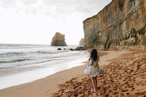 Great Ocean Road Small-Group Ecotour From Melbourne - Accommodation VIC 27