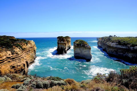 Great Ocean Road Small-Group Ecotour From Melbourne - Accommodation VIC 30
