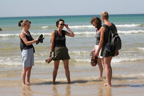 Great Ocean Road Small-Group Ecotour From Melbourne - Accommodation VIC 34