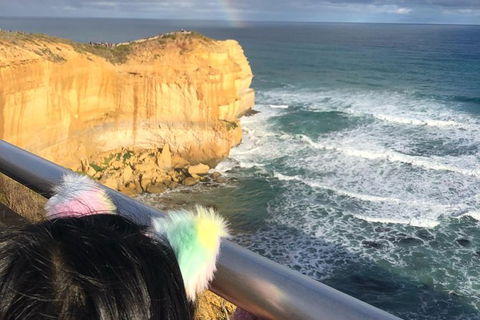 Great Ocean Road Private Tour - Accommodation VIC 7