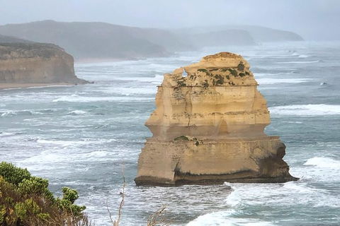 Great Ocean Road Private Tour - Accommodation VIC 4