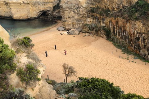 Great Ocean Road Private Tour - Accommodation VIC 5