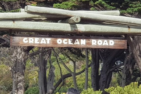 2 Day Great Ocean Road Tour From Melbourne - Accommodation VIC 24