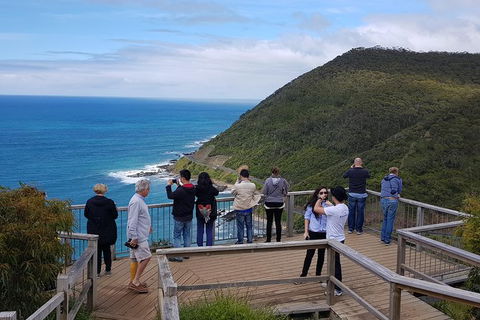 2 Day Great Ocean Road Tour From Melbourne - Accommodation VIC 16