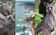 2 Day Great Ocean Road Tour From Melbourne - thumb 15