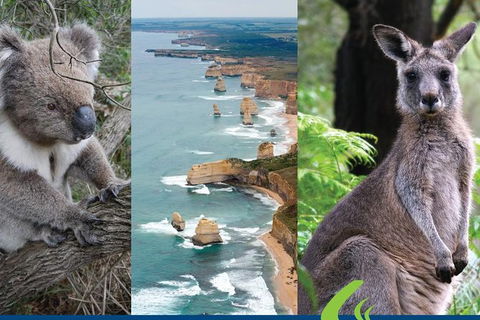 2 Day Great Ocean Road Tour From Melbourne - Accommodation VIC 15