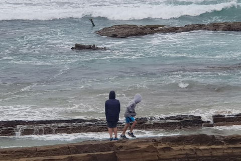 2 Day Great Ocean Road Tour From Melbourne - Accommodation VIC 4