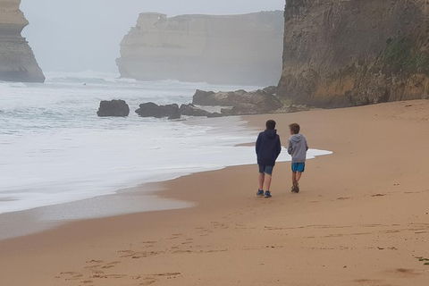 2 Day Great Ocean Road Tour From Melbourne - Accommodation VIC 23