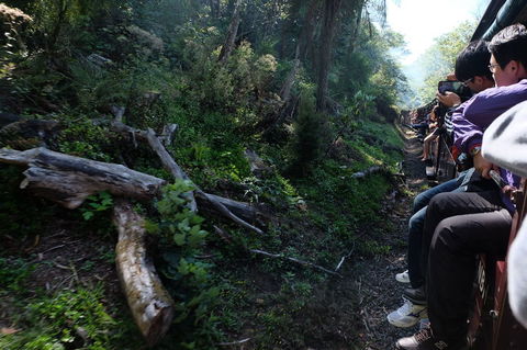 Puffing Billy Steam Train & Healesville Wildlife Sanctuary Tour From Melbourne - Accommodation VIC 5