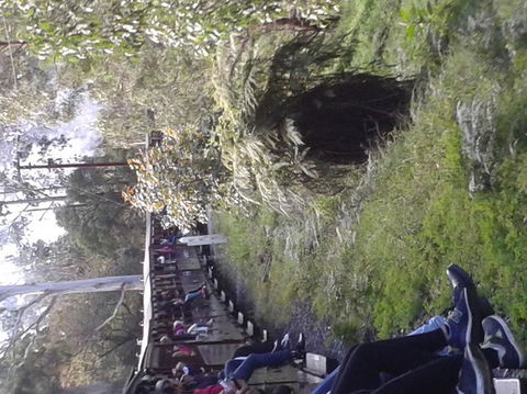 Puffing Billy Steam Train & Healesville Wildlife Sanctuary Tour From Melbourne - Accommodation VIC 7