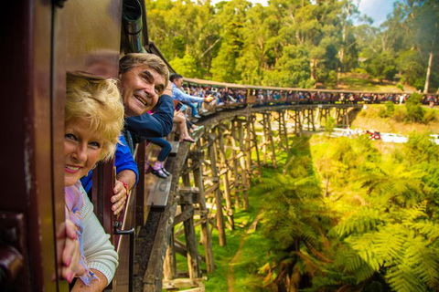 Puffing Billy Steam Train & Healesville Wildlife Sanctuary Tour From Melbourne - Accommodation VIC 0