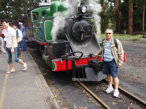 Puffing Billy Steam Train & Healesville Wildlife Sanctuary Tour From Melbourne - Accommodation VIC 12