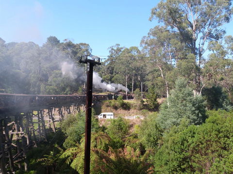 Puffing Billy Steam Train & Healesville Wildlife Sanctuary Tour From Melbourne - Accommodation VIC 8