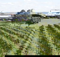 Puffing Billy Train and Yarra Valley Food and Wine Day Trip from Melbourne - Accommodation VIC