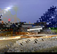 Small-Group Phillip Island Day Trip from Melbourne with Penguin Plus Viewing - Accommodation VIC