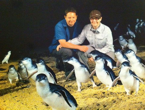 Phillip Island Tour From Melbourne - Accommodation VIC 18