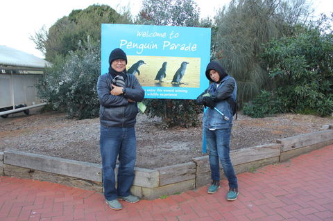 Phillip Island Tour From Melbourne - Accommodation VIC 15