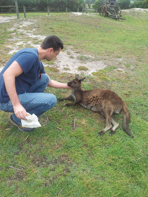 Phillip Island Tour From Melbourne - Accommodation VIC 24