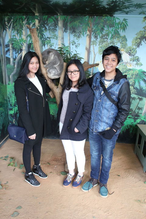 Phillip Island Tour From Melbourne - Accommodation VIC 14