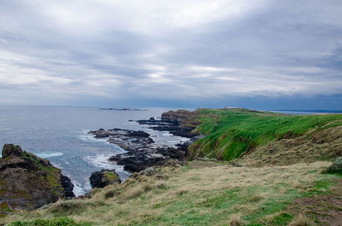 Phillip Island Tour From Melbourne - Accommodation VIC 17