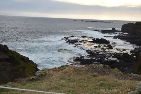 Phillip Island Tour From Melbourne - Accommodation VIC 5