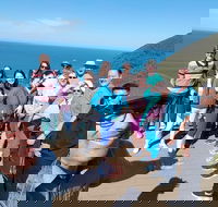Great Ocean Road Small Group Tour - Accommodation VIC