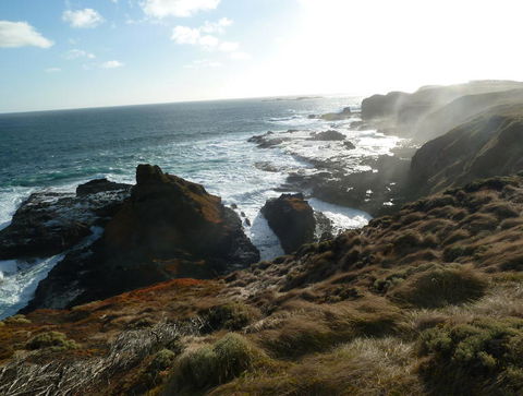 Phillip Island Penguin Parade Evening Tour - Accommodation VIC 2