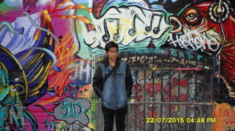 Central Melbourne Walking Tour - Accommodation VIC 7