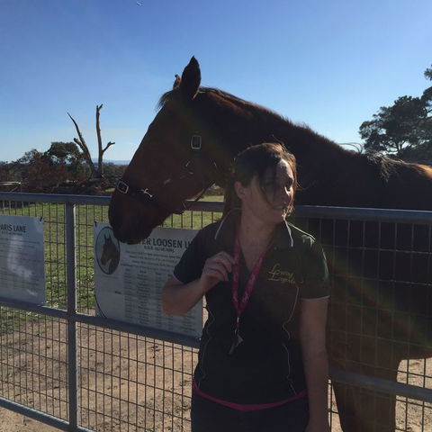 Champion Racehorse Tour With Beer And Wine Tasting - Accommodation VIC 4