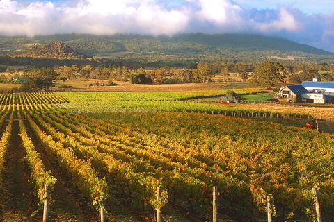 Champion Racehorse Tour With Beer And Wine Tasting - Accommodation VIC 6