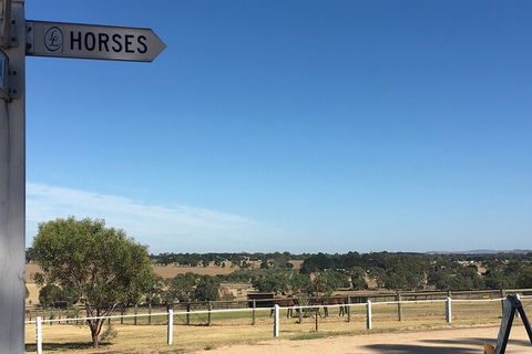 Champion Racehorse Tour With Beer And Wine Tasting - Accommodation VIC 7