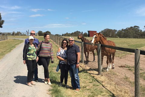 Champion Racehorse Tour With Beer And Wine Tasting - Accommodation VIC 10
