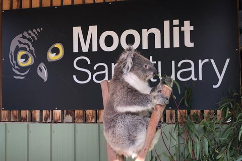 Small-Group Phillip Island Day Trip From Melbourne - Accommodation VIC 7