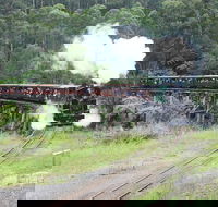 Puffing Billy Dandenong Ranges  Brighton Bathing Boxes  Experience - Accommodation VIC