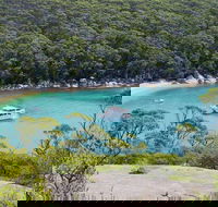 Wilsons Promontory Full Day Cruise - Accommodation VIC