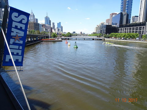 SEA LIFE Melbourne Aquarium Admission Ticket - Accommodation VIC 7