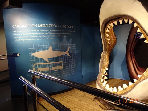 SEA LIFE Melbourne Aquarium Admission Ticket - Accommodation VIC 10