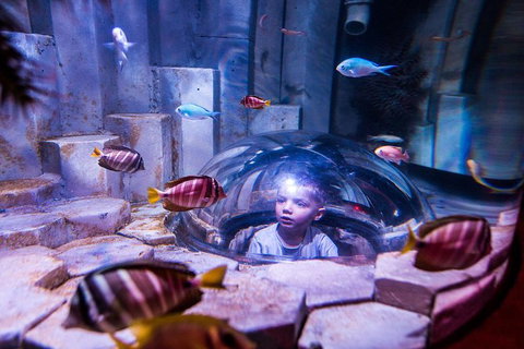 SEA LIFE Melbourne Aquarium Admission Ticket - Accommodation VIC 0