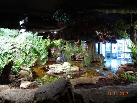 SEA LIFE Melbourne Aquarium Admission Ticket - Accommodation VIC 2