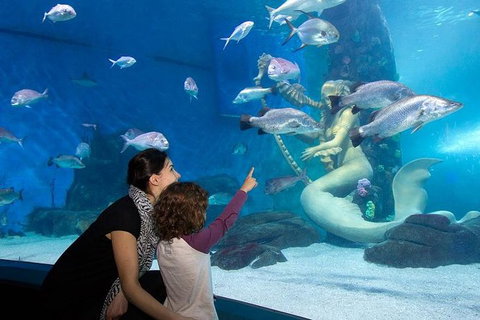 SEA LIFE Melbourne Aquarium Admission Ticket - Accommodation VIC 14