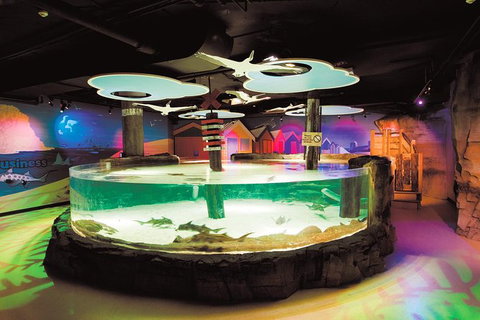 SEA LIFE Melbourne Aquarium Admission Ticket - Accommodation VIC 27