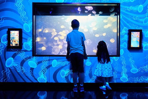 SEA LIFE Melbourne Aquarium Admission Ticket - Accommodation VIC 18