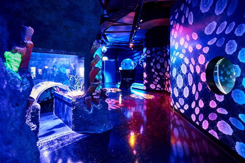 SEA LIFE Melbourne Aquarium Admission Ticket - Accommodation VIC 13