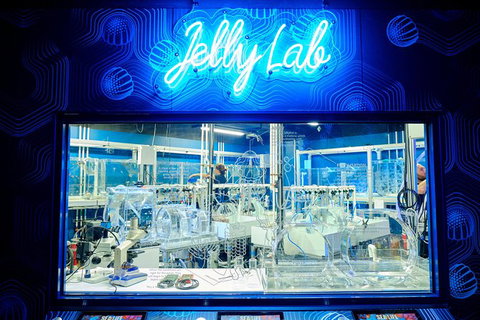 SEA LIFE Melbourne Aquarium Admission Ticket - Accommodation VIC 24