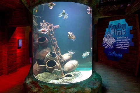 SEA LIFE Melbourne Aquarium Admission Ticket - Accommodation VIC 23