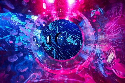 SEA LIFE Melbourne Aquarium Admission Ticket - Accommodation VIC 26