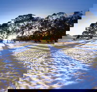 Private Lake Mountain Snow Tour from Melbourne - Accommodation VIC