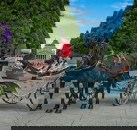 Melbourne Horse Drawn Carriage Extended Garden Tour - Accommodation VIC