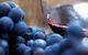Ultimate Mornington Peninsula Food And Wine Small Group Tour - thumb 1