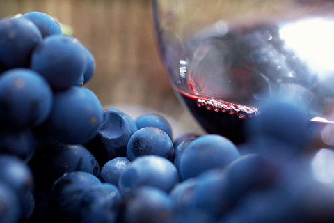 Ultimate Mornington Peninsula Food And Wine Small Group Tour - Accommodation VIC 1